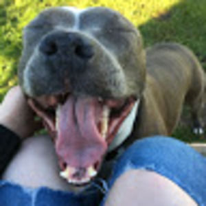 Meet your Posher, Alysia